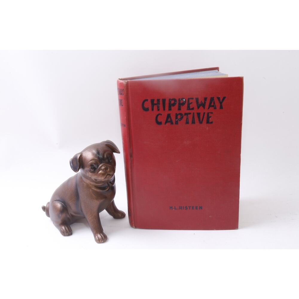 Chippeway Captive, HL Risteen, Adventure Story, Hardcover, Child Read